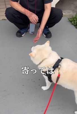 獣医さんを前にすると…
