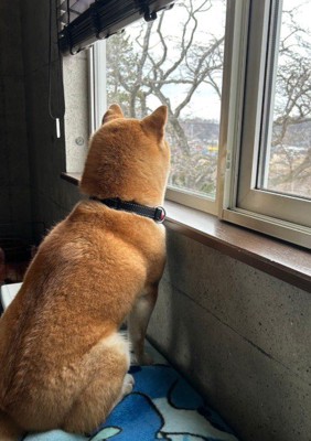 投稿主さんを待ってる…?