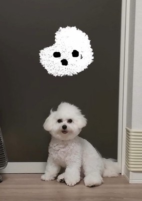 頭が欠けちゃった!?