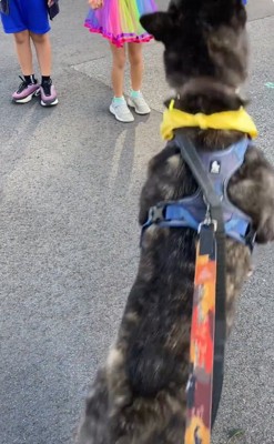 おやつをキャッチするオレオくん