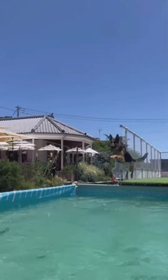 プールで特訓するエースくん8