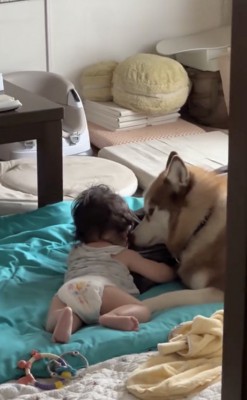 近付いてみると…