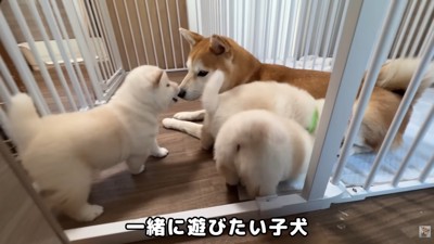 愛情を注がれながら、すくすく成長中♪