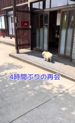 ますお君の熱烈歓迎3