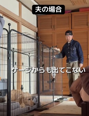 扉が開いても寝そべる犬