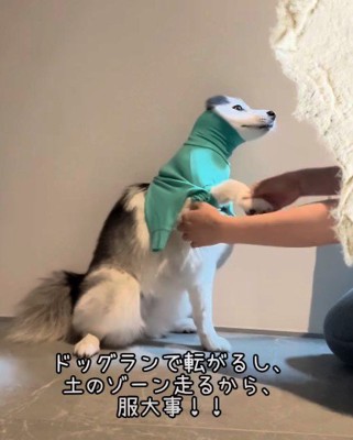 前足を通して…