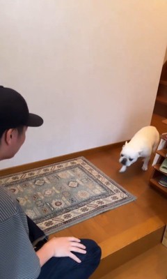 マルちゃんとお父さんの再会