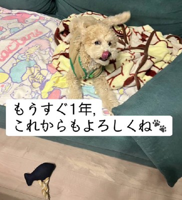 これからもよろしく