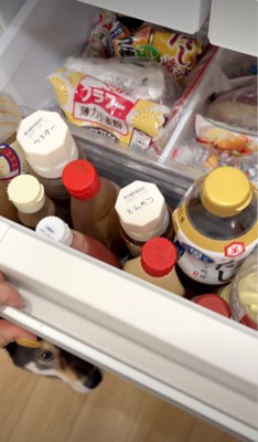 冷蔵庫を閉める途中