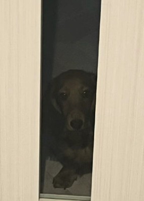 素敵な名前を知れましたね！！