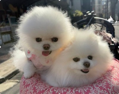 とっても仲良し