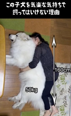 衝撃のサイズ感