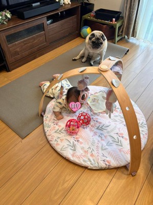 もち丸くんと赤ちゃんの日常