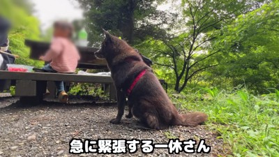 警戒モードに…!