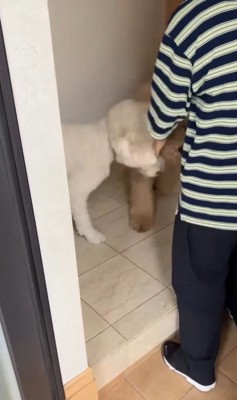 ますお君&まるお君とママさんの再会5