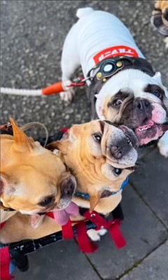 仲良くなったライトくんたち