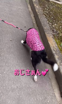 わかめちゃんとおじさんの再会