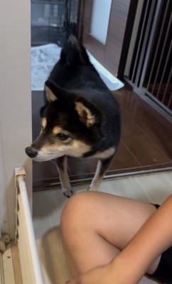 お風呂って聞こえたような