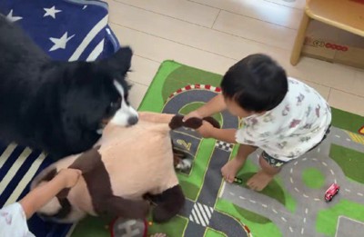 兄の力はやっぱりスゴイ!?