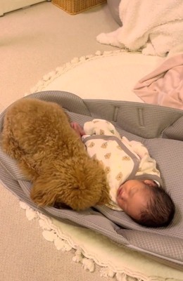 赤ちゃんに寄り添うりのちゃん