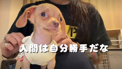 耳も目もドビーそのもの