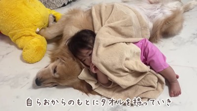 おからちゃんと添い寝♡