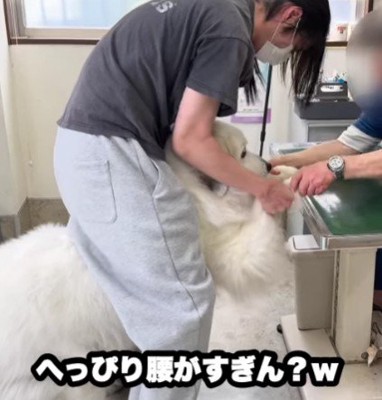 豪快なへっぴり腰