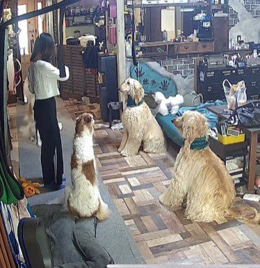 まるで指導者！？