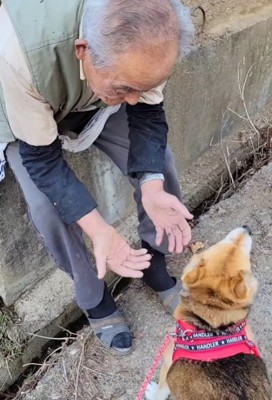 お散歩中に出会うと…