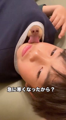 男の子の顔を舐め続ける犬