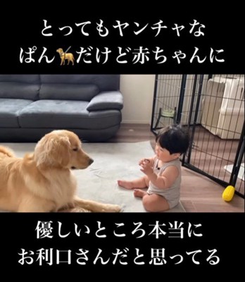 赤ちゃんに優しいぱん君3