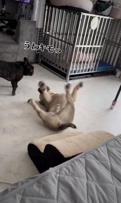 ドン引きのこなつちゃん