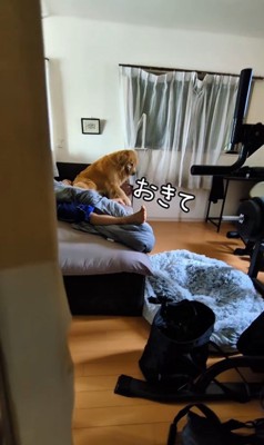 お兄ちゃんの部屋から出てこない蘭ちゃん5