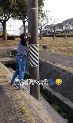 お父さんと定春くんのお散歩9