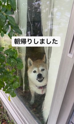 まさかの