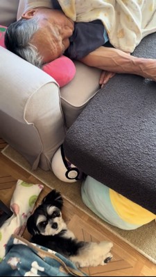 同じように寝る人と犬