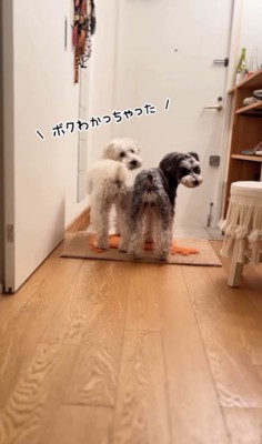 バンデくんとなぎちゃんの本当のおかえり