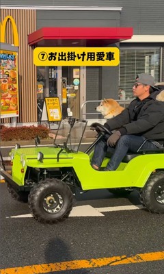 色々な乗り物に乗るおもち君8