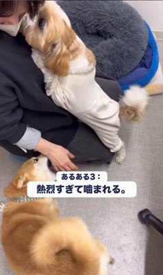 社員さんを歓迎するフクちゃん＆マロちゃん7