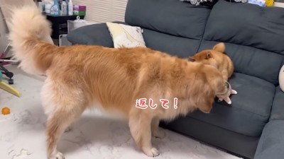 「それもほのちゃんの!!」