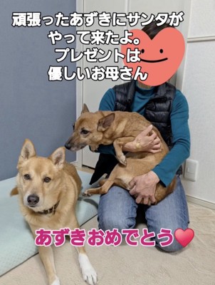 最高のプレゼントが…！