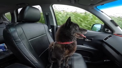 車に乗って出発
