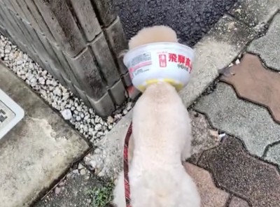 斬新すぎるアイデア！