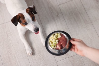 りんごとお肉を前にする犬