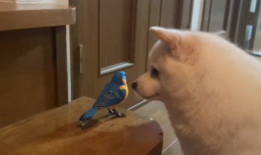 ガードは鉄壁!!