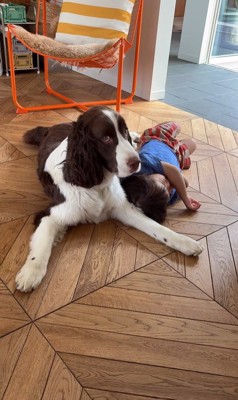 ププくんと女の子の日常4