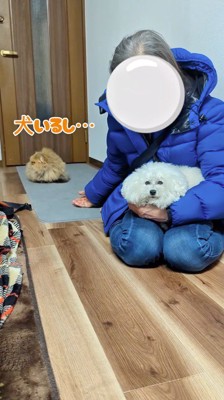 手を伸ばしてくる女性から顔を背ける猫