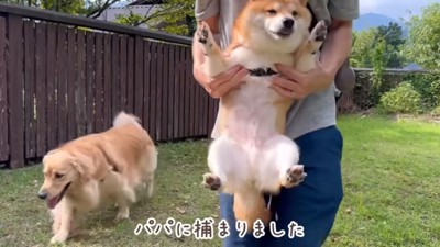 捕獲されるうにちゃん