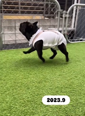 嬉しそうなあずきちゃん