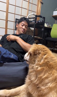 きんちゃんと飼い主さんのやり取り⑩